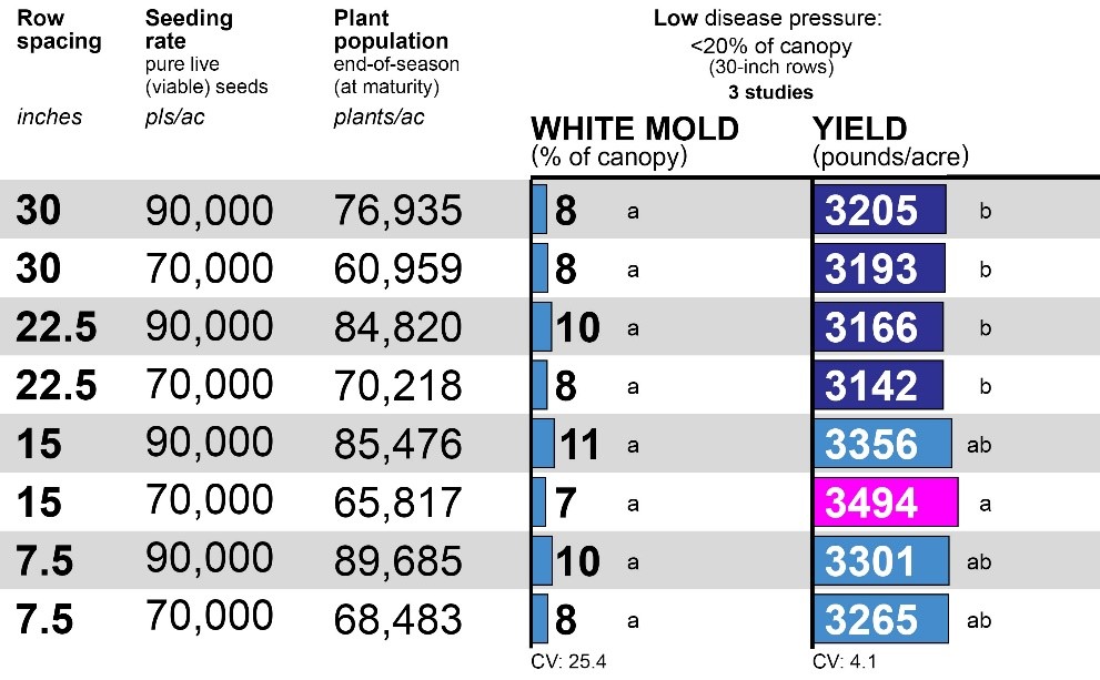 Optimizing Row Spacing and Seeding Rate for Improved Pinto Bean